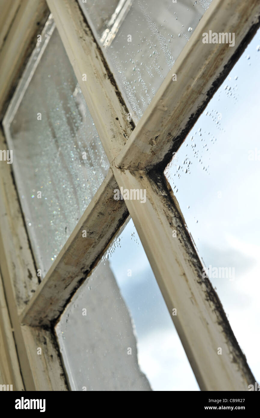 Legno marcio anta window danneggiata dalla presenza di umidità e condensa che necessitano di levigatura dell e riverniciatura per la riparazione Foto Stock