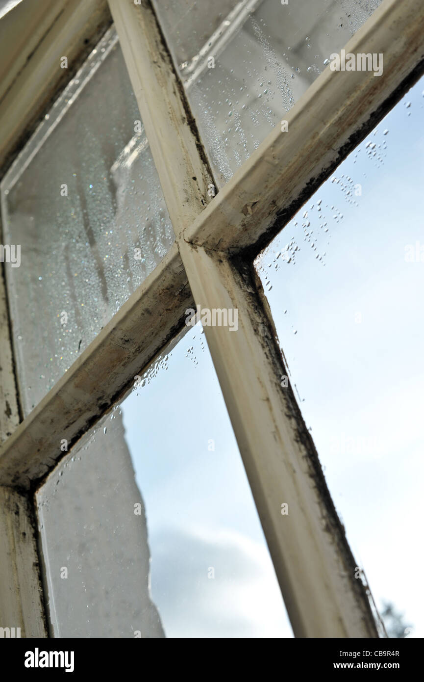 Legno marcio anta window danneggiata dalla presenza di umidità e condensa che necessitano di levigatura dell e riverniciatura per la riparazione Foto Stock