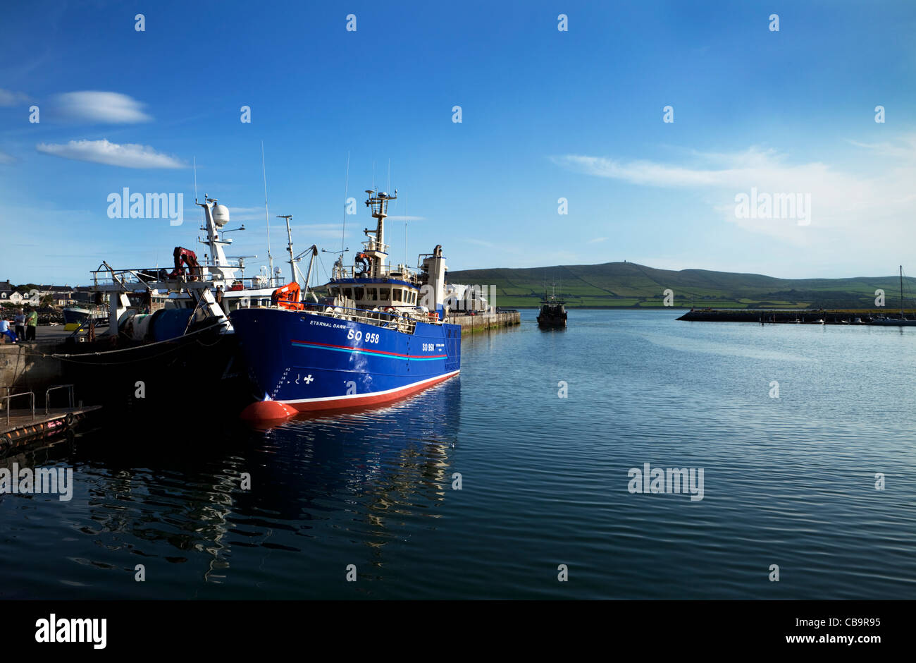 Porto di pescatori, Dingle Città, Contea di Kerry, Irlanda Foto Stock