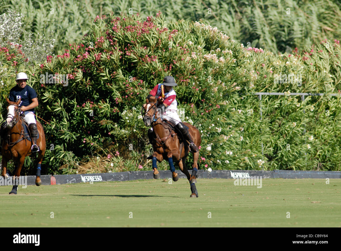 Giocatore di polo a pieno galoppo durante il match Foto Stock