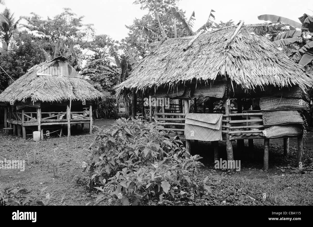 Samoa occidentale, villaggio di Siumu fale Foto Stock