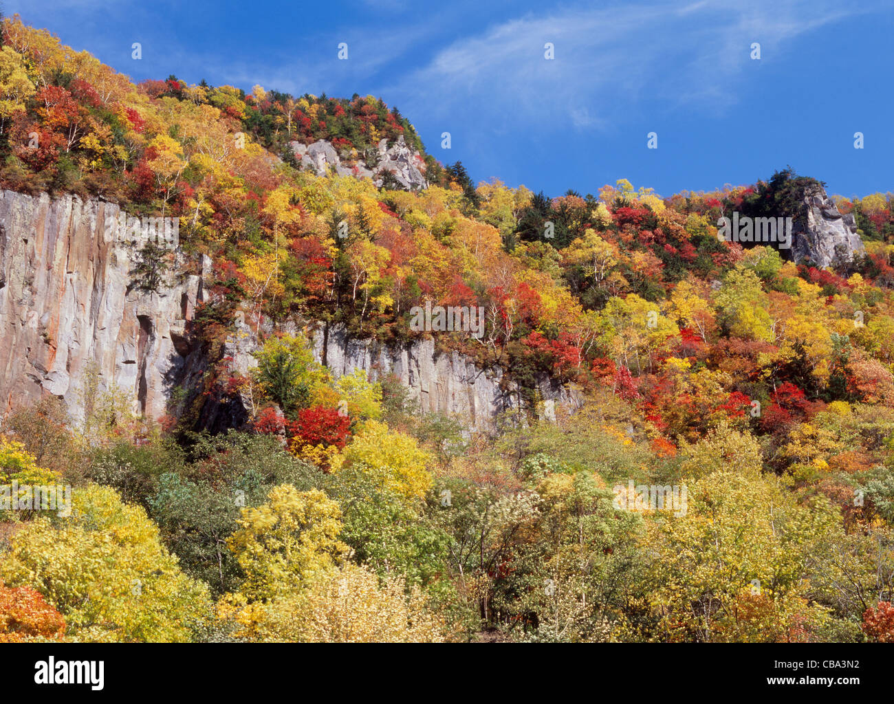 Foglie di autunno a Sounkyo Gorge, Kamikawa, Hokkaido, Giappone Foto Stock