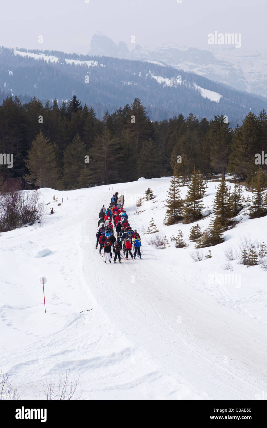 Cavallo tirato rimorchio per sci nei pressi di Armentarola in Alta Badia Sella Ronda Italia Foto Stock