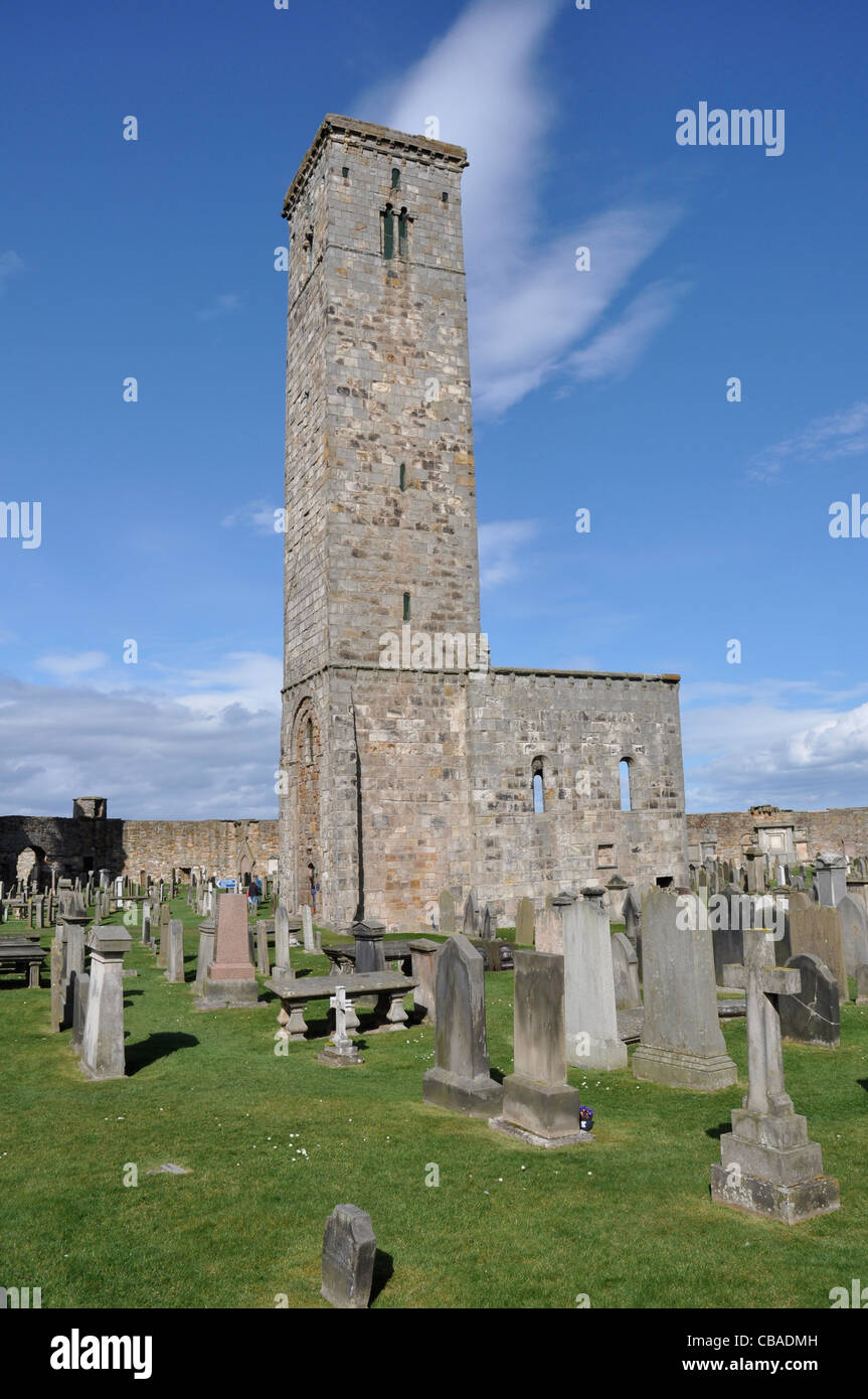 Regola la torre della cattedrale, rovine, St Andrews Fife, Scozia, Gran Bretagna, Regno Unito Foto Stock