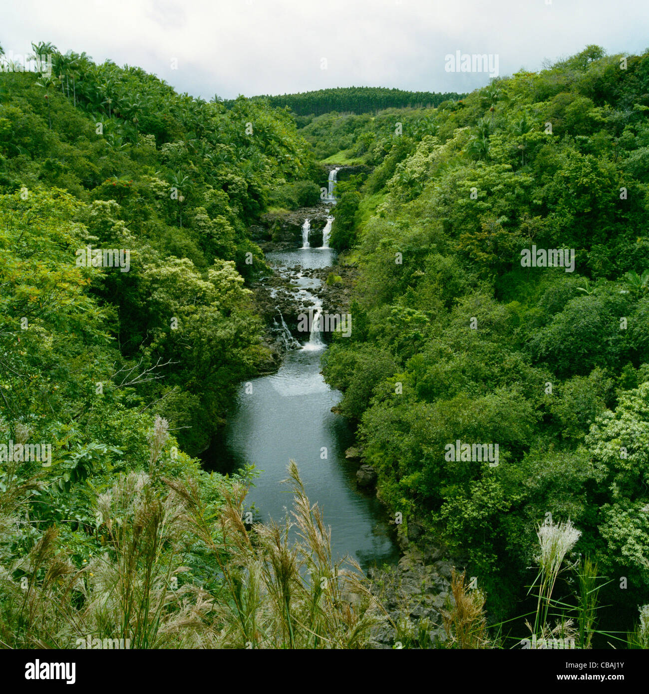 Umauma Falls mondo tropicale Giardini Botanici di Big Island delle Hawaii Foto Stock