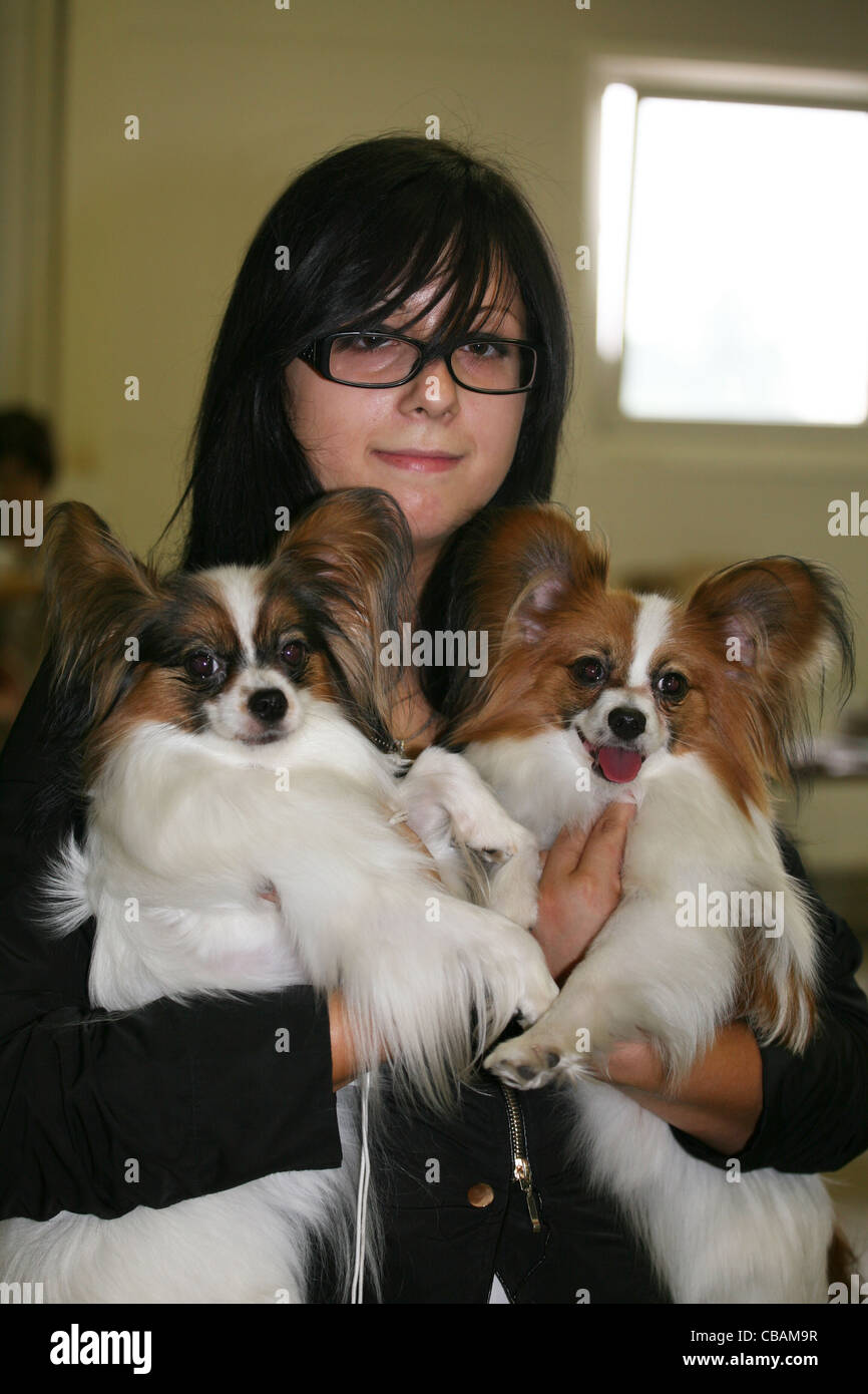 La ragazza con due cani Foto Stock