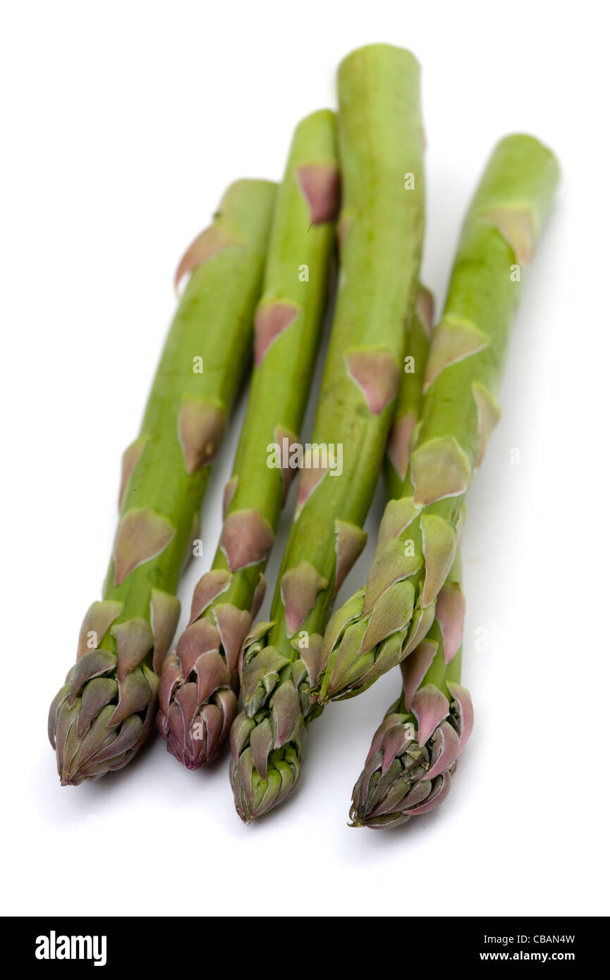 Un piccolo pacchetto di asparagi raccolti spears isolato su uno sfondo bianco Foto Stock