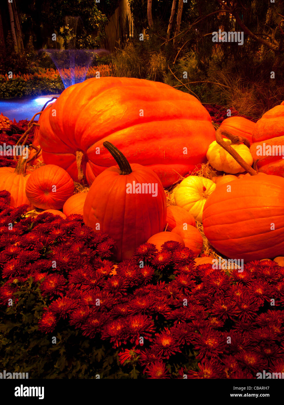 Autunno mostra nei giardini dell'Hotel Bellagio, Las Vegas. Foto Stock