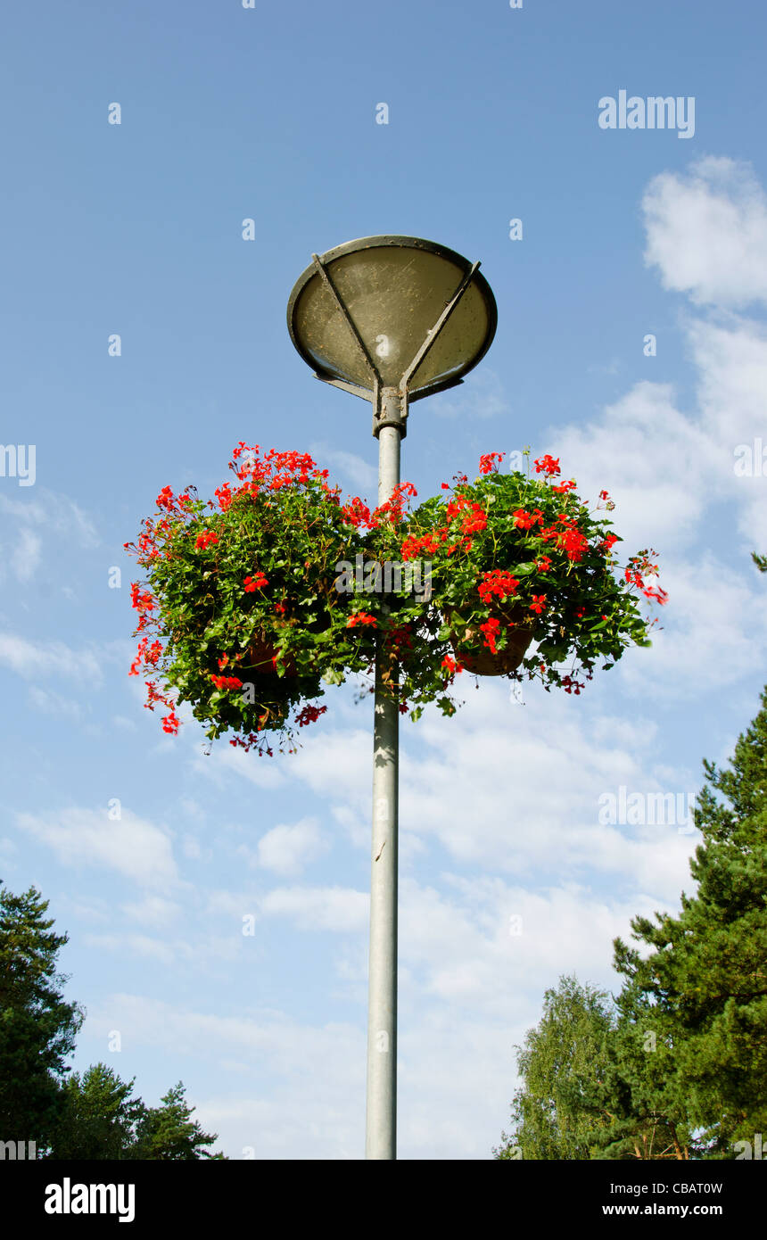 Lampione con due vasi da fiori e cielo Foto Stock