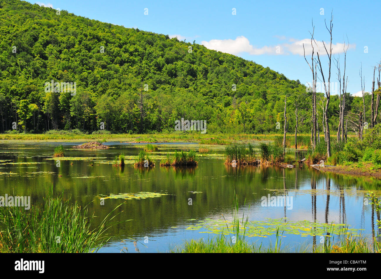 Gatineau Park, Québec Foto Stock