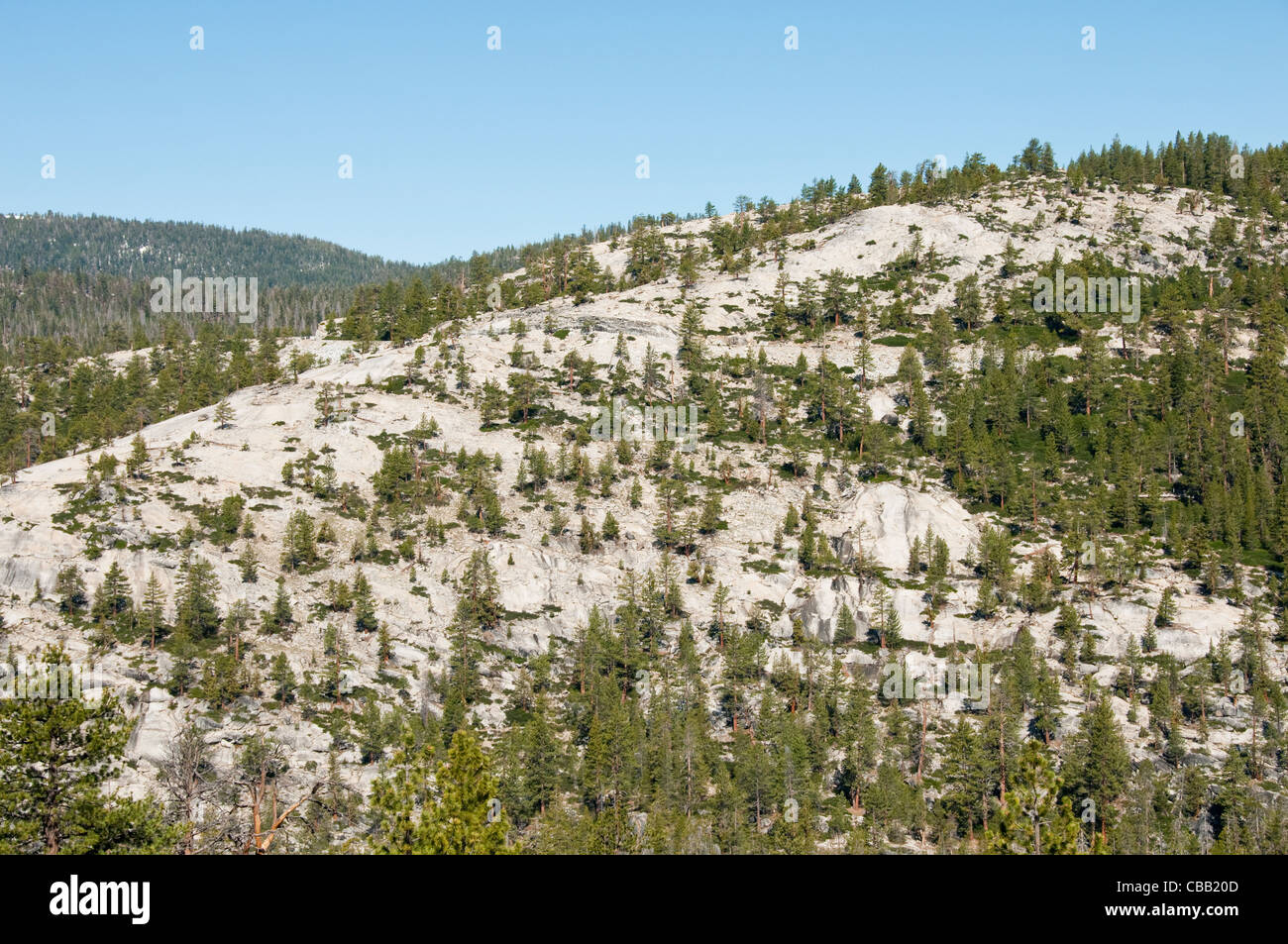 Il granito scenic lastre rocciose montagna alta paese parco nazionale Yosemite in California Foto Stock