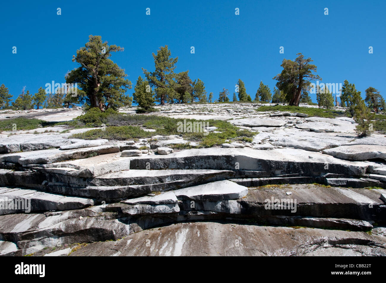 Il granito scenic lastre rocciose alte paese parco nazionale Yosemite in California Foto Stock