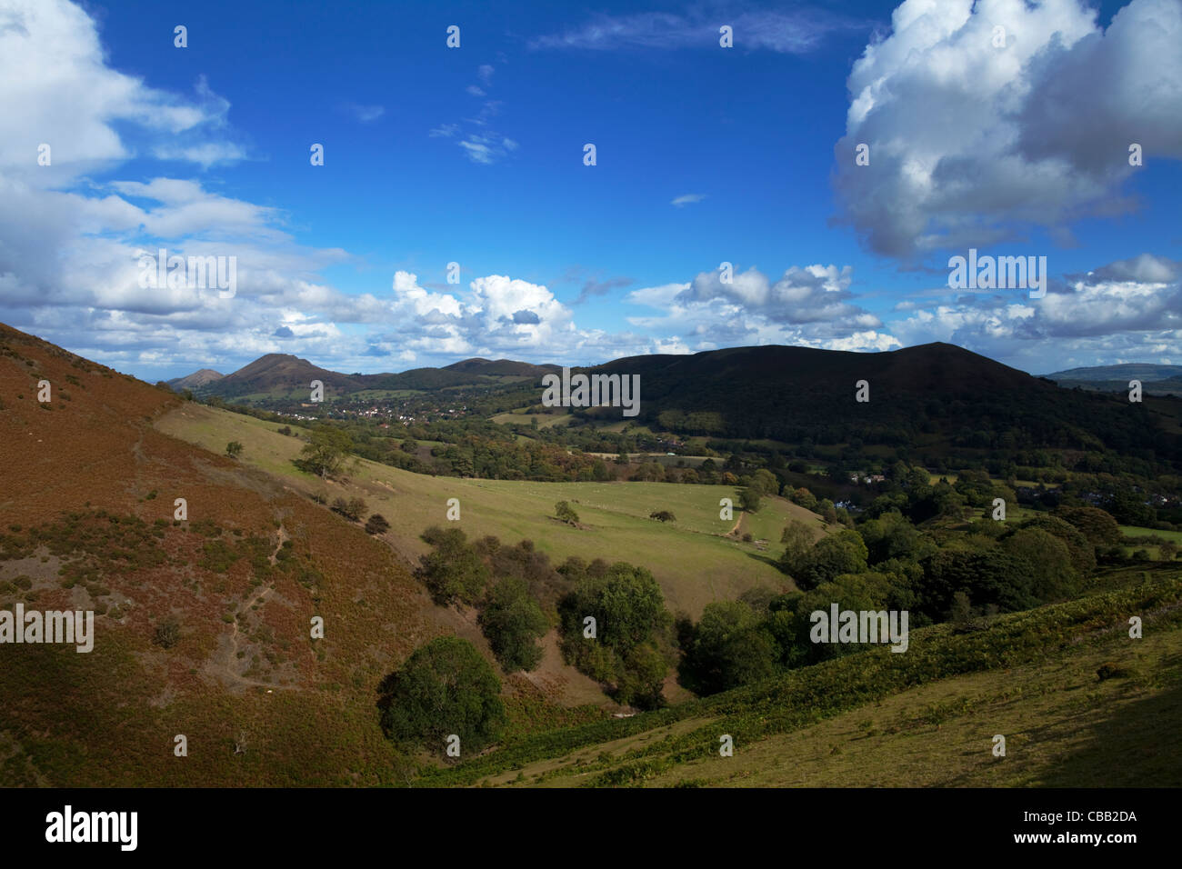 Guardando verso valle a speranze legno, vicino al Little stretton, Shropshire, Inghilterra, Regno Unito Foto Stock