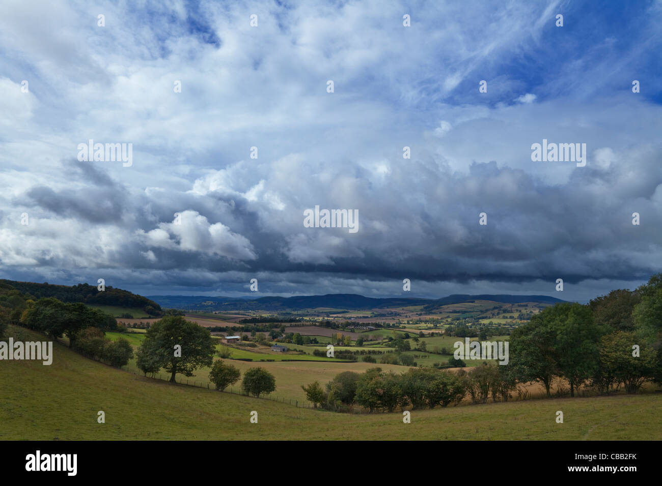 Campi e Colline vista da visualizzare in legno, appena ad ovest del castello di Stokesay, Shropshire England, Regno Unito Foto Stock