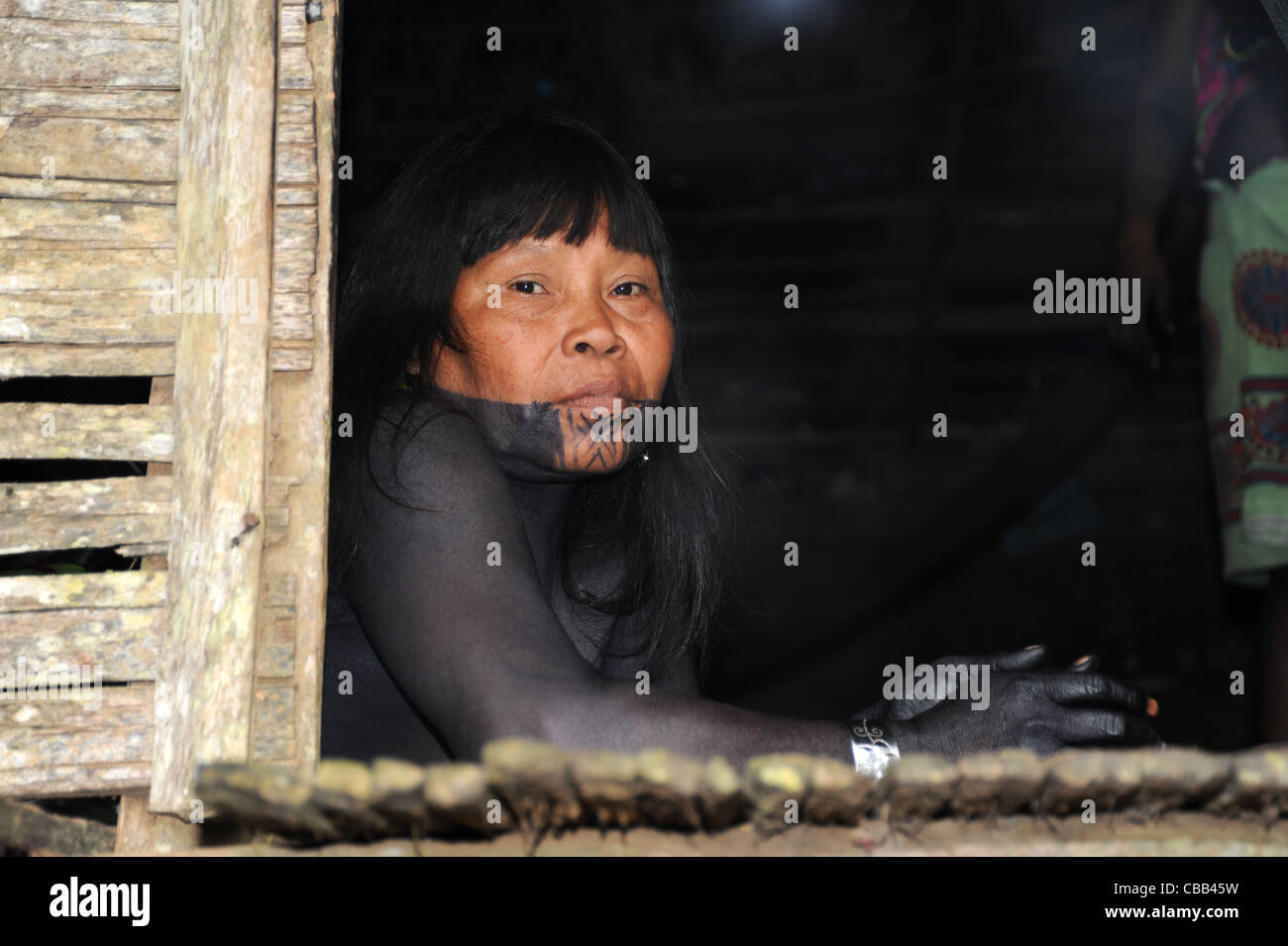 Donna indiana di Embera dipinta di nero alla comunità indigena di Embera Puru a Panama. Foto Stock