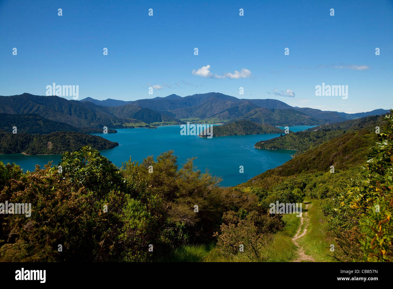 Queen Charlotte Track, Marlborough Sounds, Isola del Sud, Nuova Zelanda Foto Stock