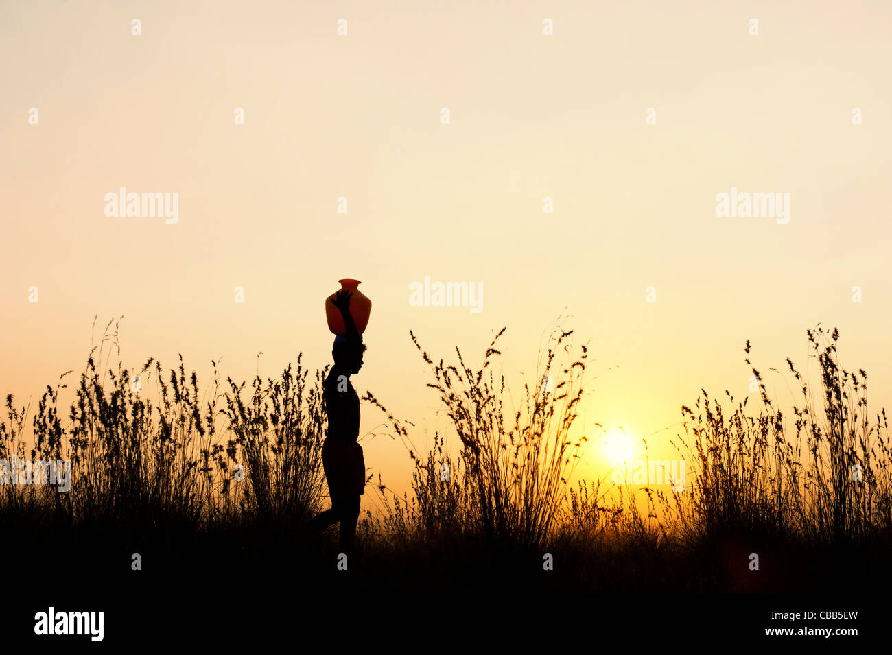 Indian uomo a camminare al tramonto che porta una pentola di acqua su questo in testa la campagna indiana. Silhouette Foto Stock