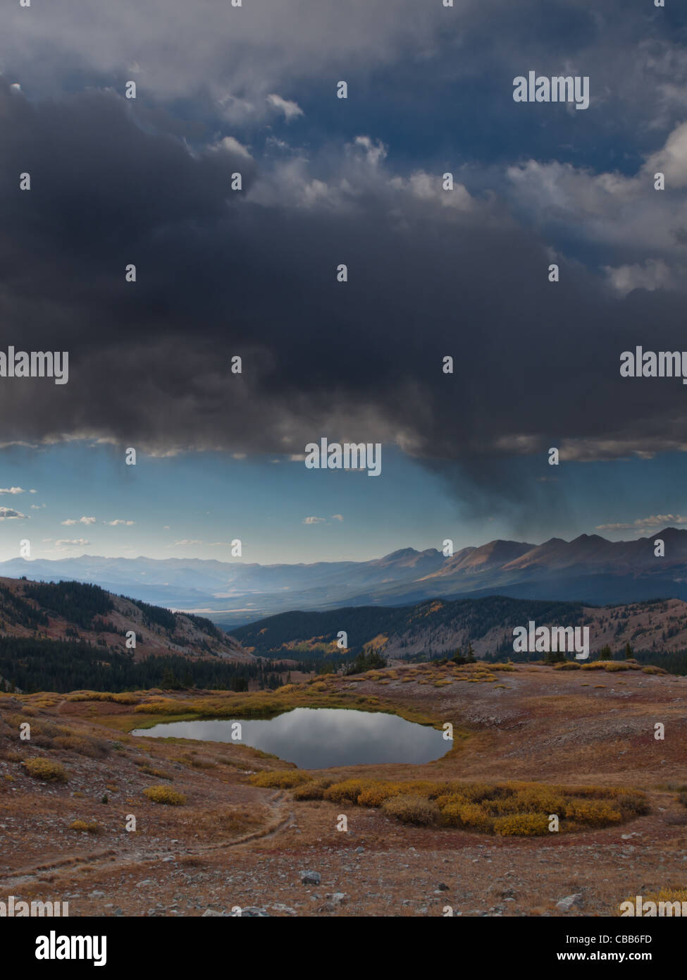 Nella parte superiore dei pioppi neri americani passano, Colorado. Foto Stock