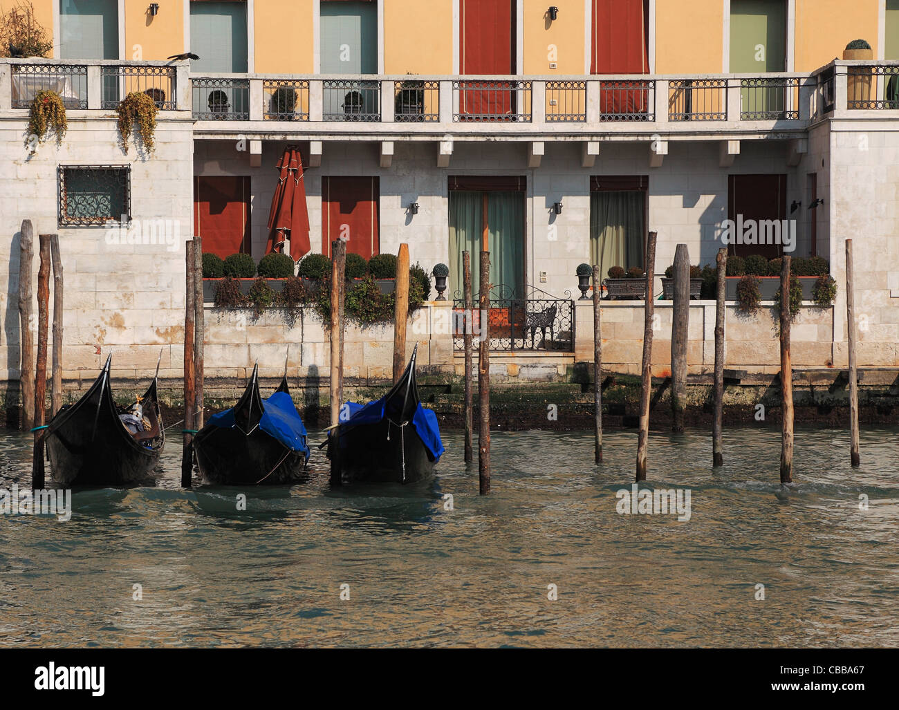 Immagine di un tre gondole parcheggiato di fronte di una casa veneziana sul Canal Grande. Foto Stock