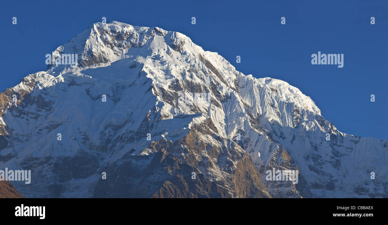Il vertice di Annapurna Sud presi da Ghandruk, Santuario di Annapurna Regione, Nepal, Asia Foto Stock