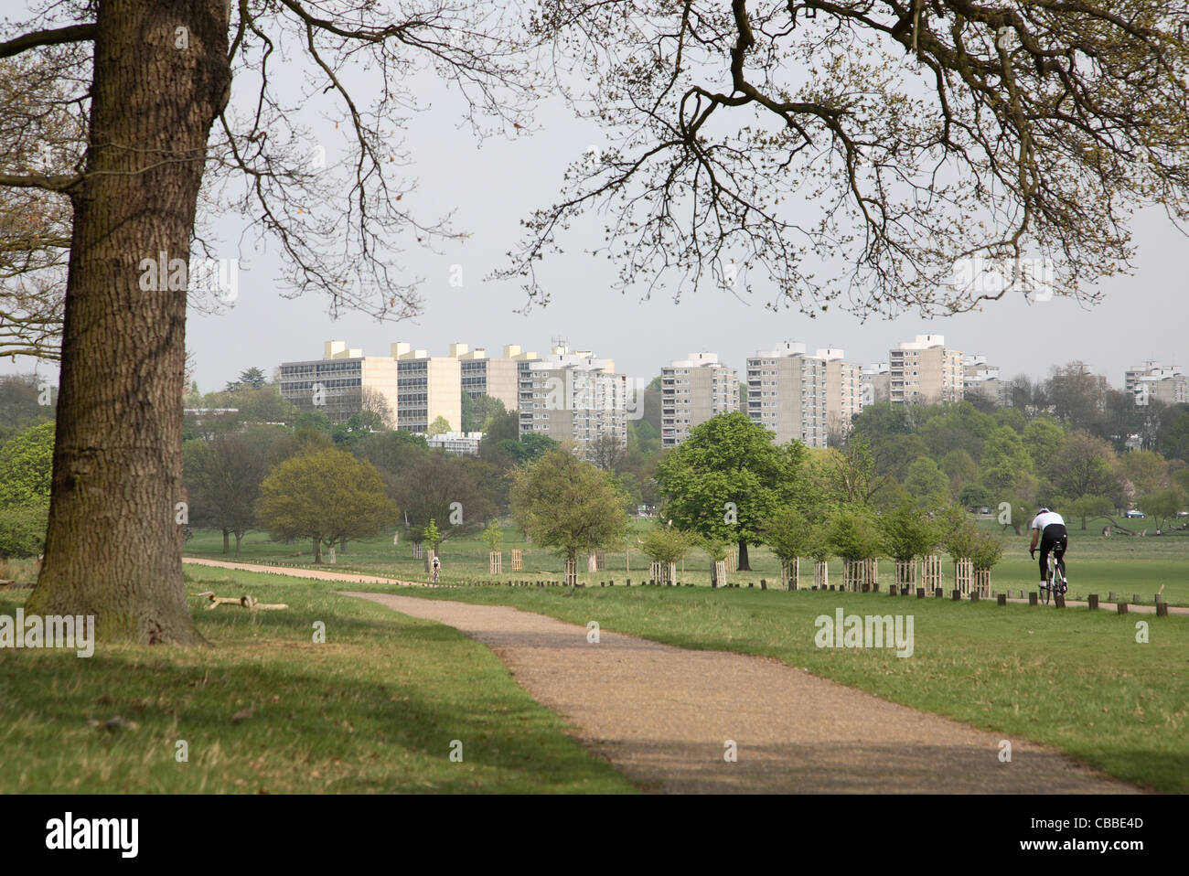 Un ciclista solitario in Richmond Park, a sud-ovest di Londra, che mostra appartamento bocks di Roehampton in background Foto Stock