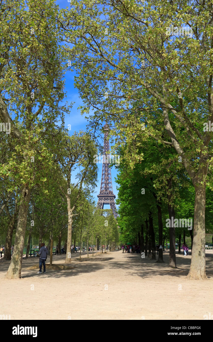 Viali di platani in Champ de Mars, Parigi Foto Stock