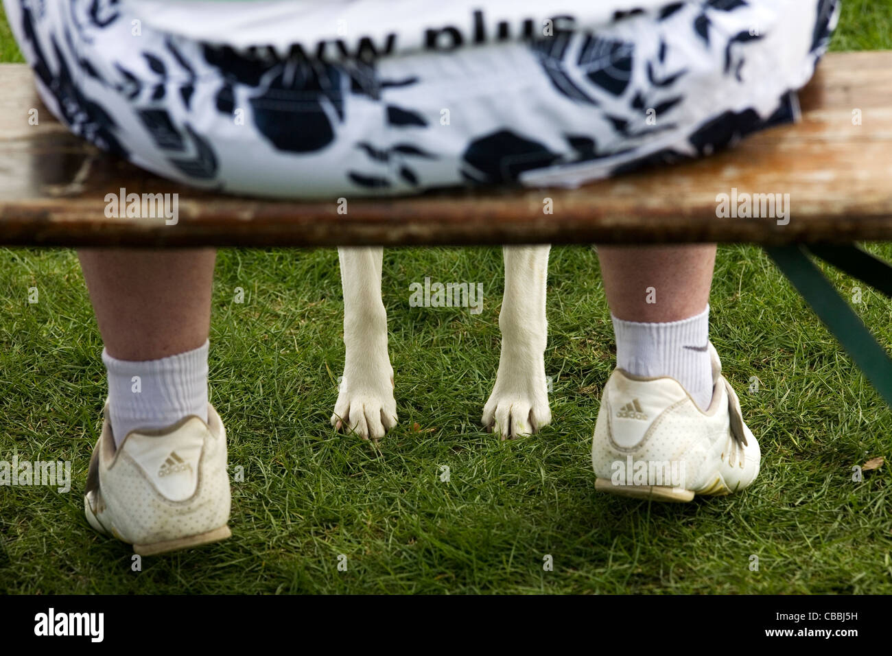 Gambe di uomo e cane gambe Foto Stock