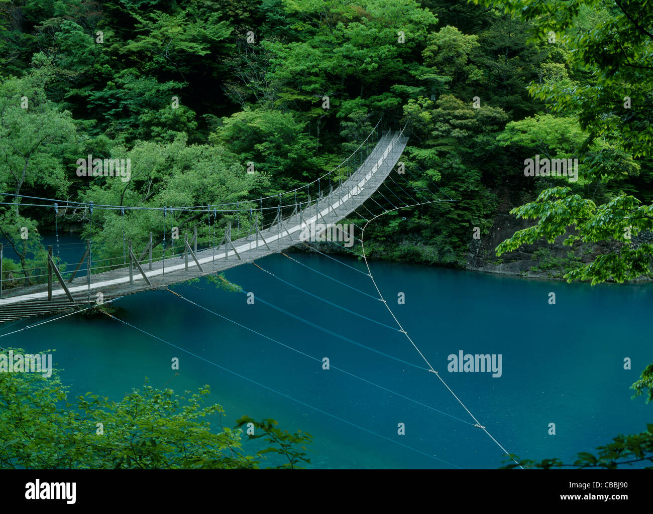 Sumata Gorge e sogno ponte di sospensione, Kawanehon, Shizuoka, Giappone Foto Stock