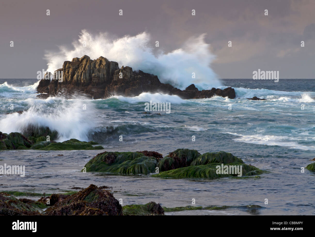 Rocce in acqua Foto Stock