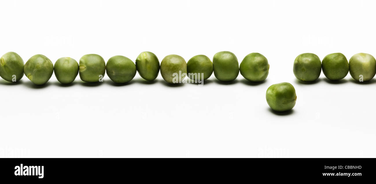 Piselli verdi in una fila con uno fuori linea Foto Stock