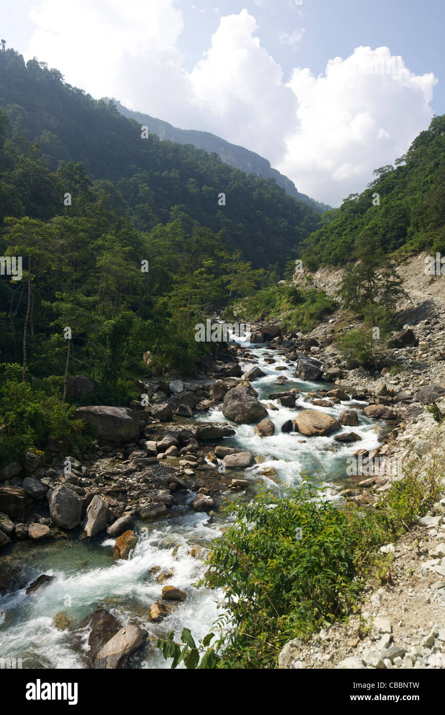 Modi River Valley, vicino a Birethanti, Santuario di Annapurna Regione, Himalaya, Nepal, Asia Foto Stock