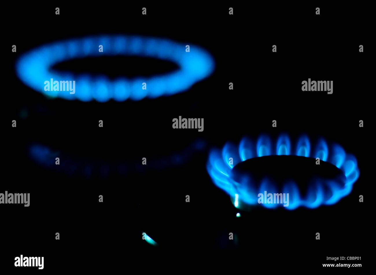 Cucine gas combustione con fiamma blu isolato su sfondo nero Foto Stock