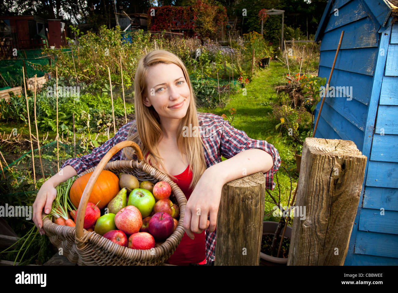 La donna la raccolta di ortaggi in giardino Foto Stock