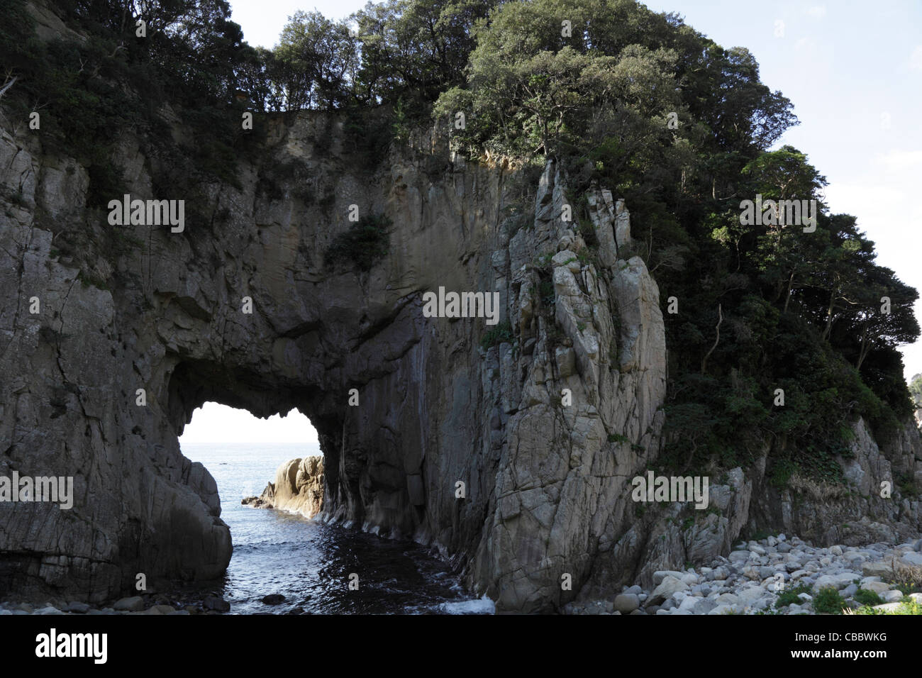 Hakusan Mare grotta, Tosashimizu, Kochi, Giappone Foto Stock
