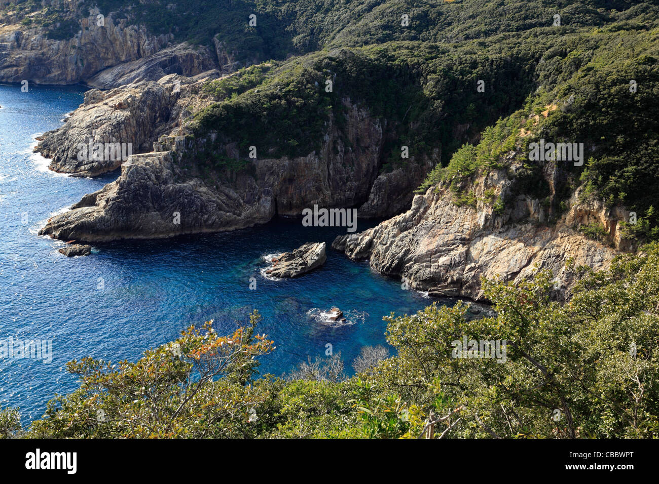 Usubae, Tosashimizu, Kochi, Giappone Foto Stock