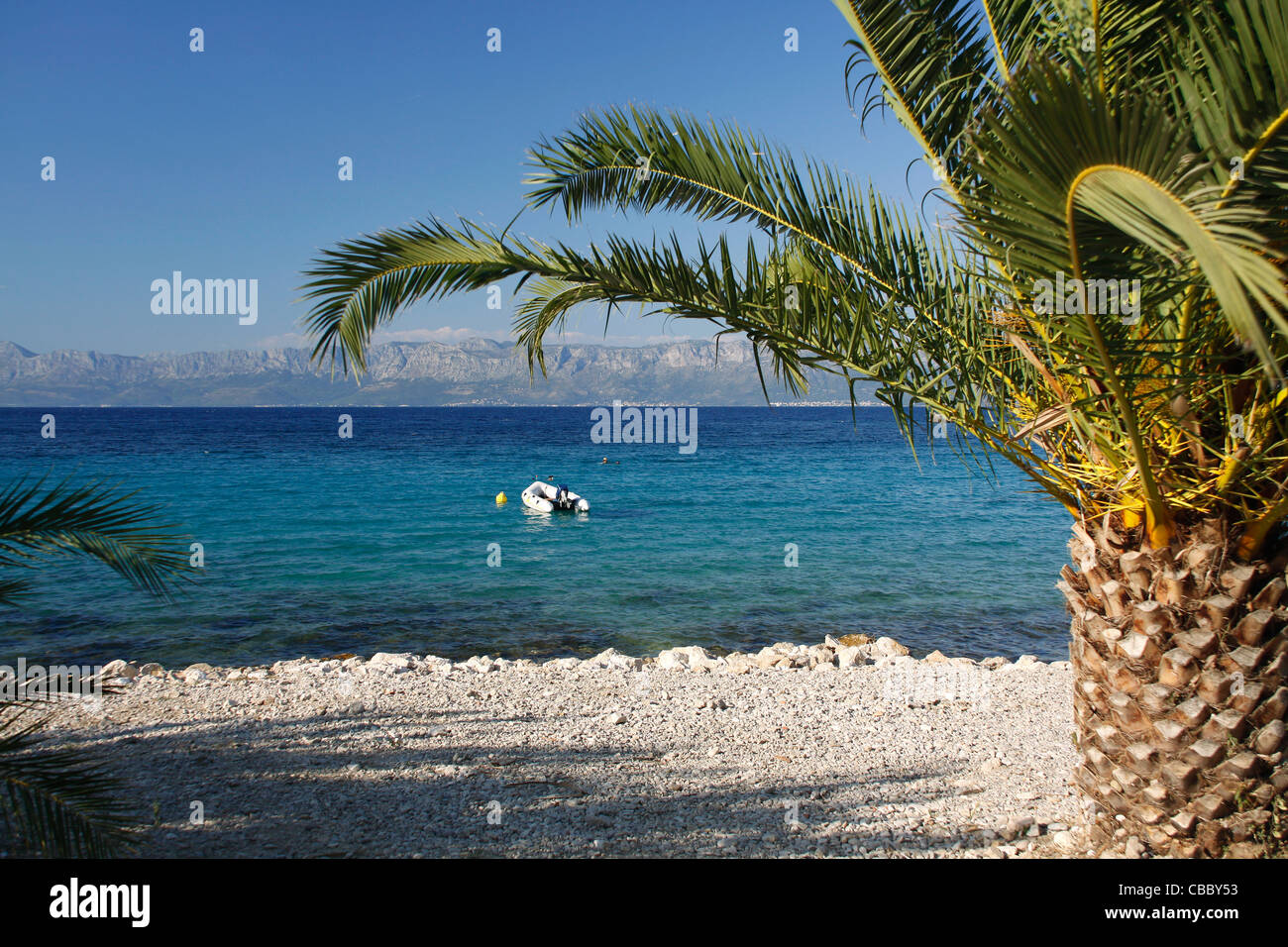 Spiaggia Vicino Vrila campeggio nella parte meridionale di Trpanj, Croazia Foto Stock