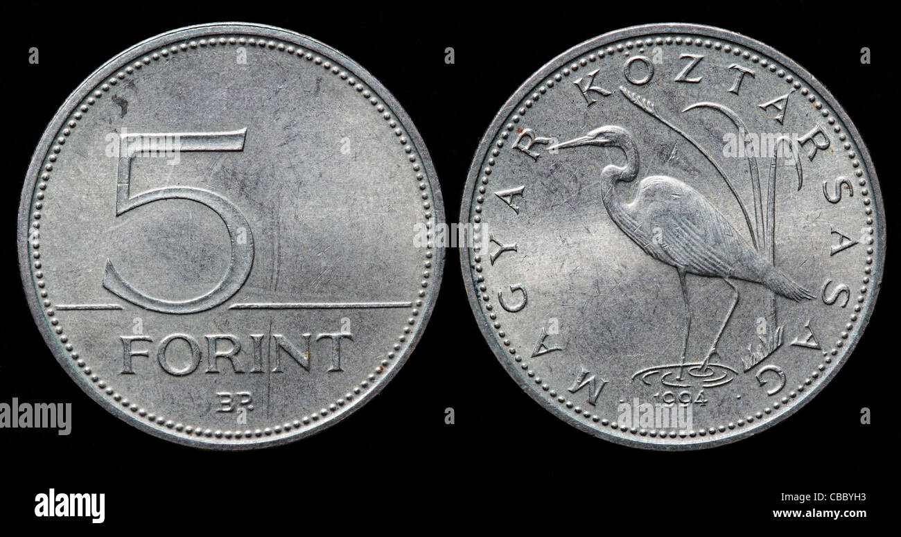 5 Forint moneta, Ungheria, 1994 Foto Stock