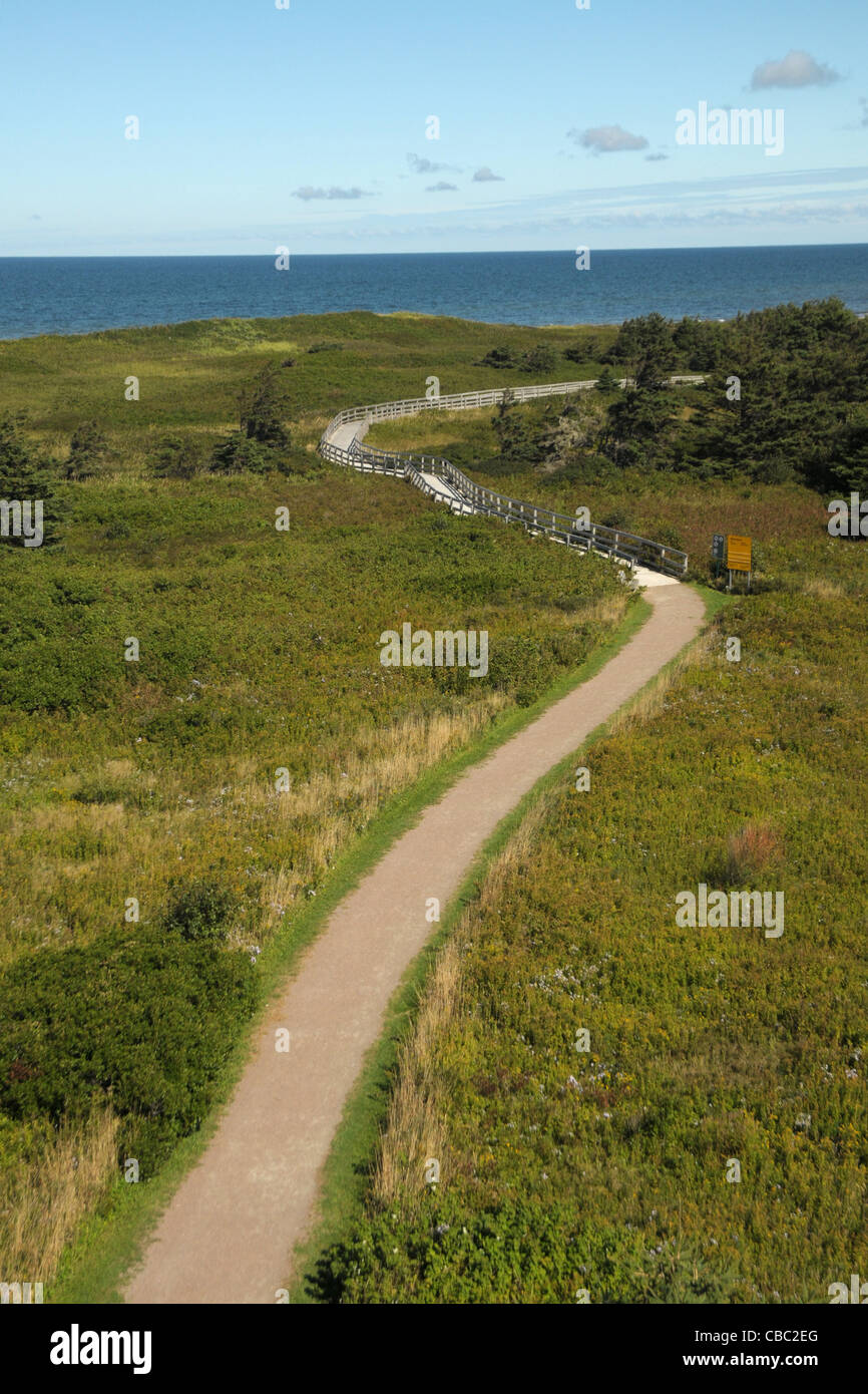 Un sentiero si snoda intorno al quale estremità fino a Greenwich, P.E.I. beach in Canada presso la Greenwich, Prince Edward Island National Park. Foto Stock