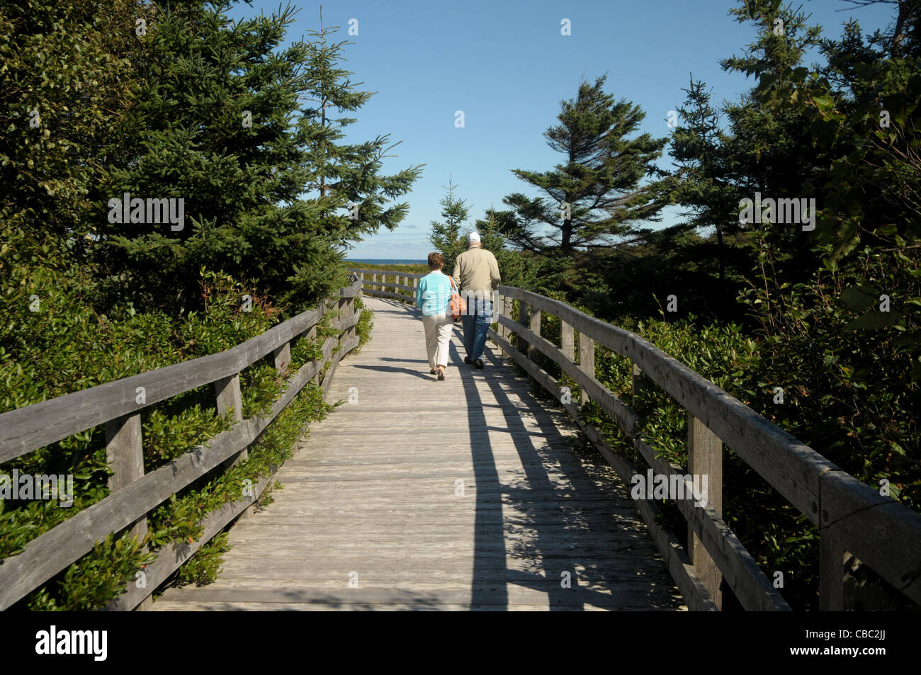 Un giovane a piedi lungo la passerella che finisce a Greenwich, P.E.I. beach in Canada presso la Greenwich, Prince Edward Island Nazione Foto Stock