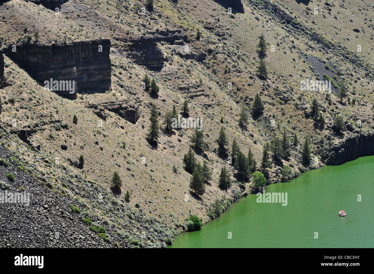 Colore verde brillante delle acque dell'Cove stato Palisades Park Oregon Foto Stock