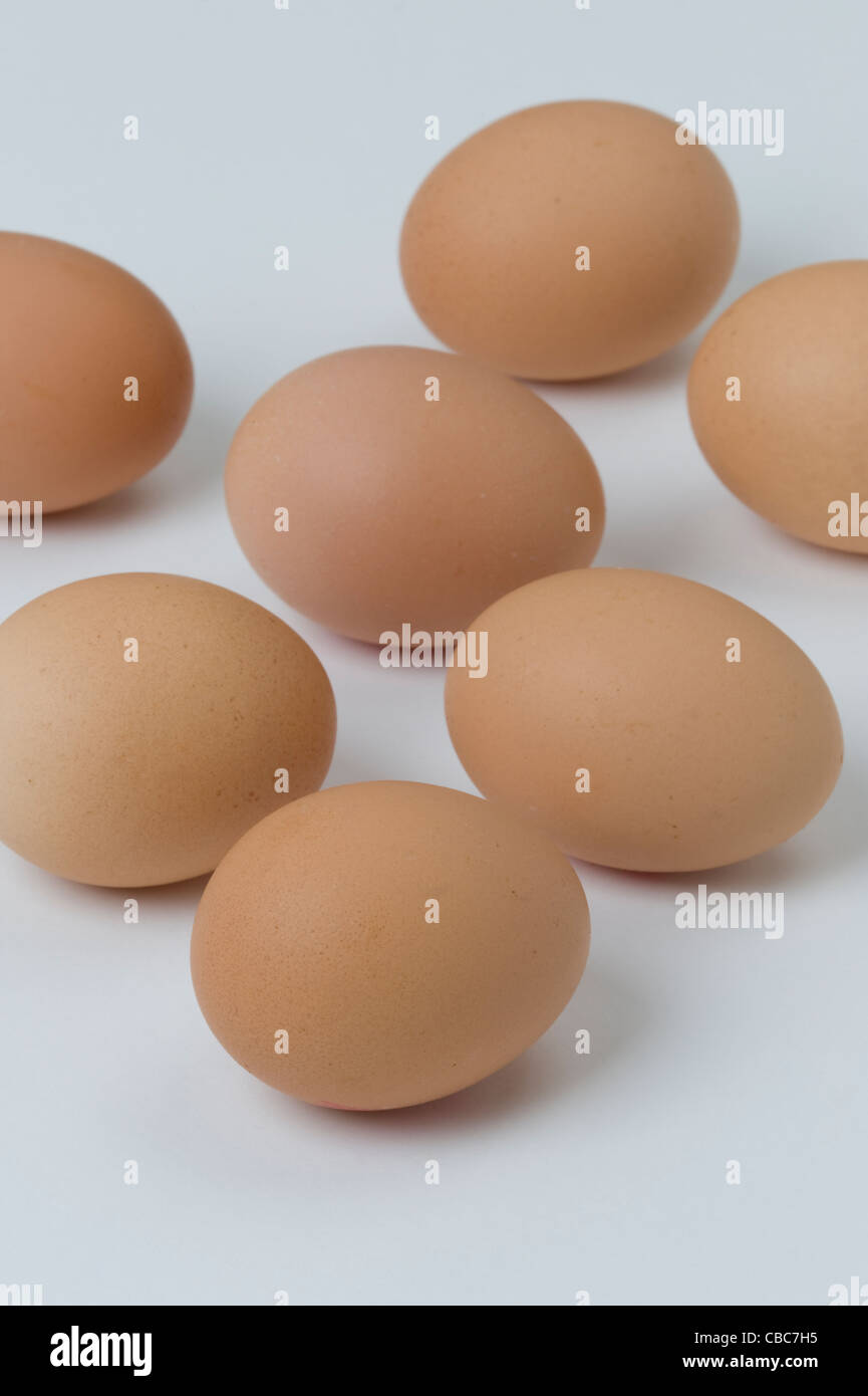 Un gruppo di marrone uova di galline contro uno sfondo bianco Foto Stock