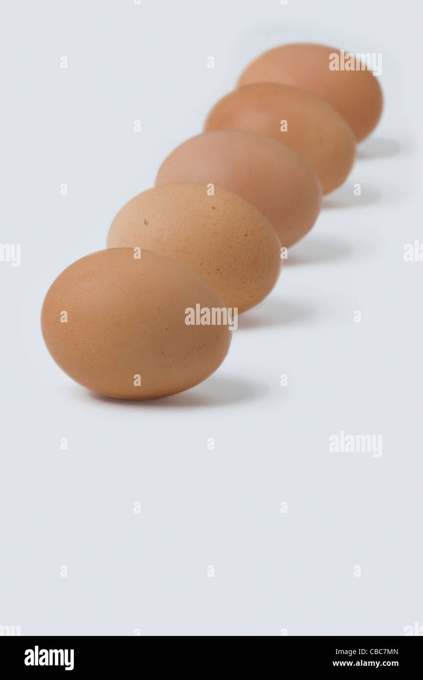Cinque brown uova di galline in fila contro uno sfondo bianco Foto Stock