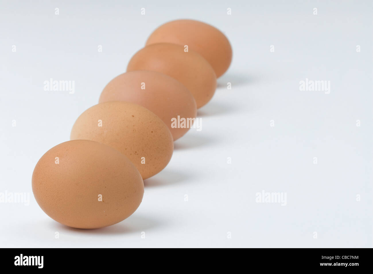 Cinque brown uova di galline in fila contro uno sfondo bianco Foto Stock