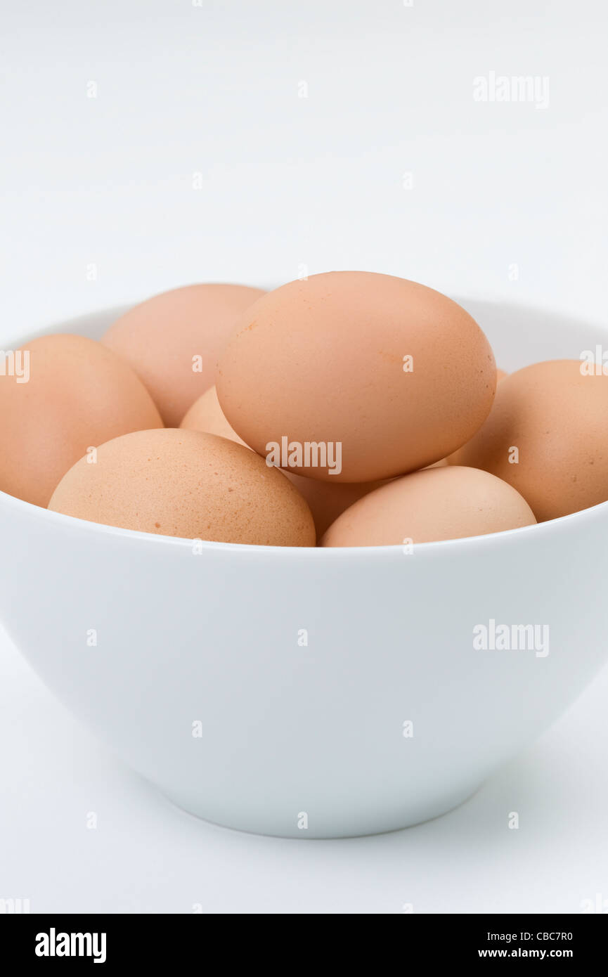 Una ciotola di marrone uova di galline in una ciotola bianco su sfondo bianco Foto Stock