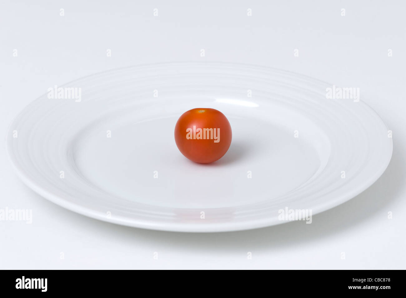 Un singolo pomodoro su una piastra bianca su sfondo bianco Foto Stock