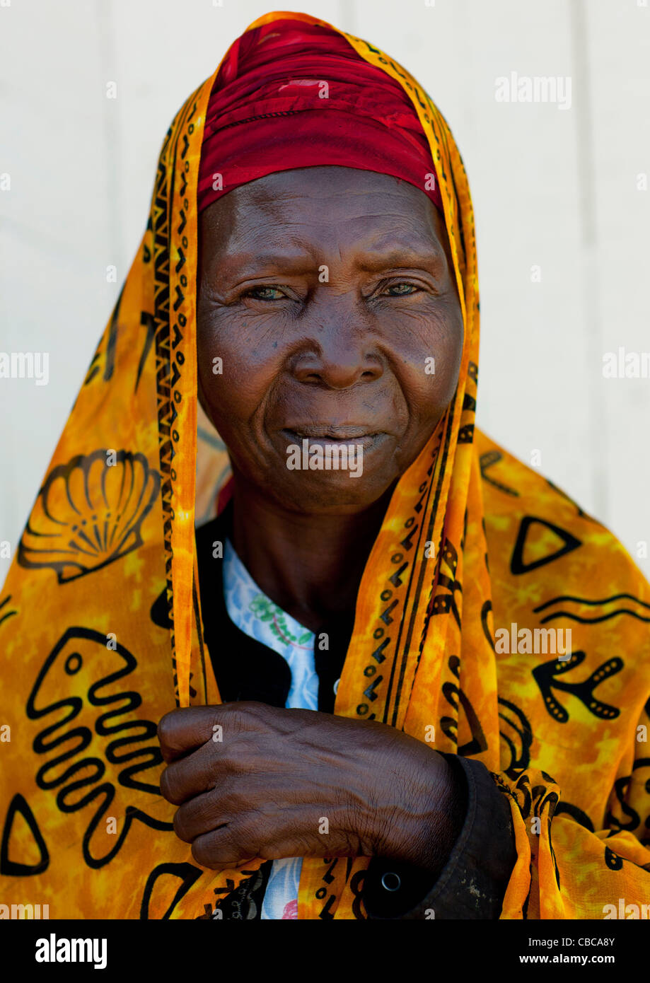 Metà donna adulta indossando velo giallo ritratto, Lamu, Kenya Foto Stock