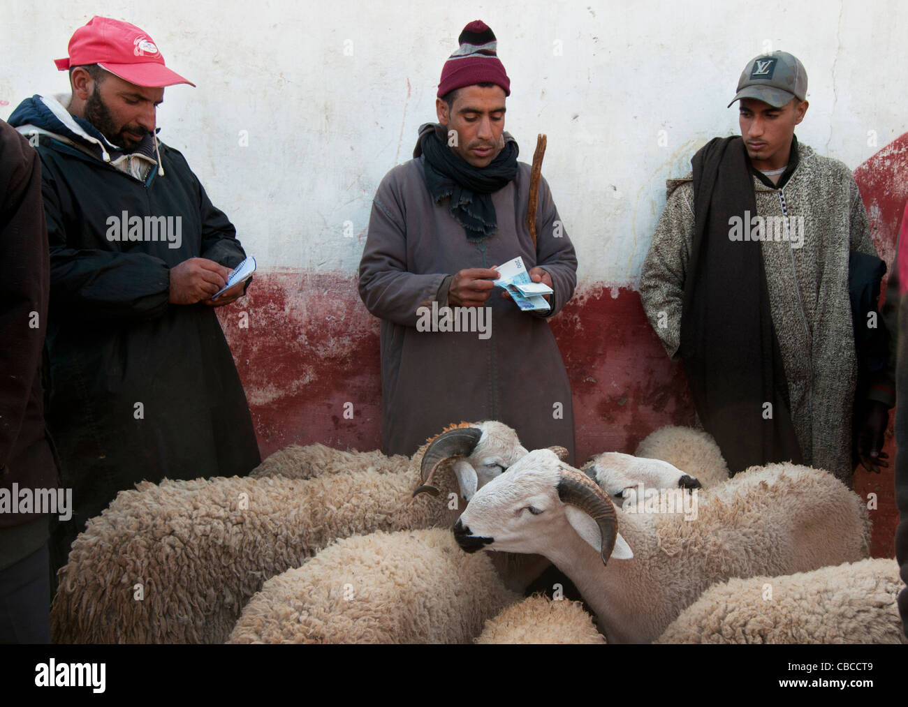Al mercato di pecora al giorno prima della festa del sacrificio Foto Stock