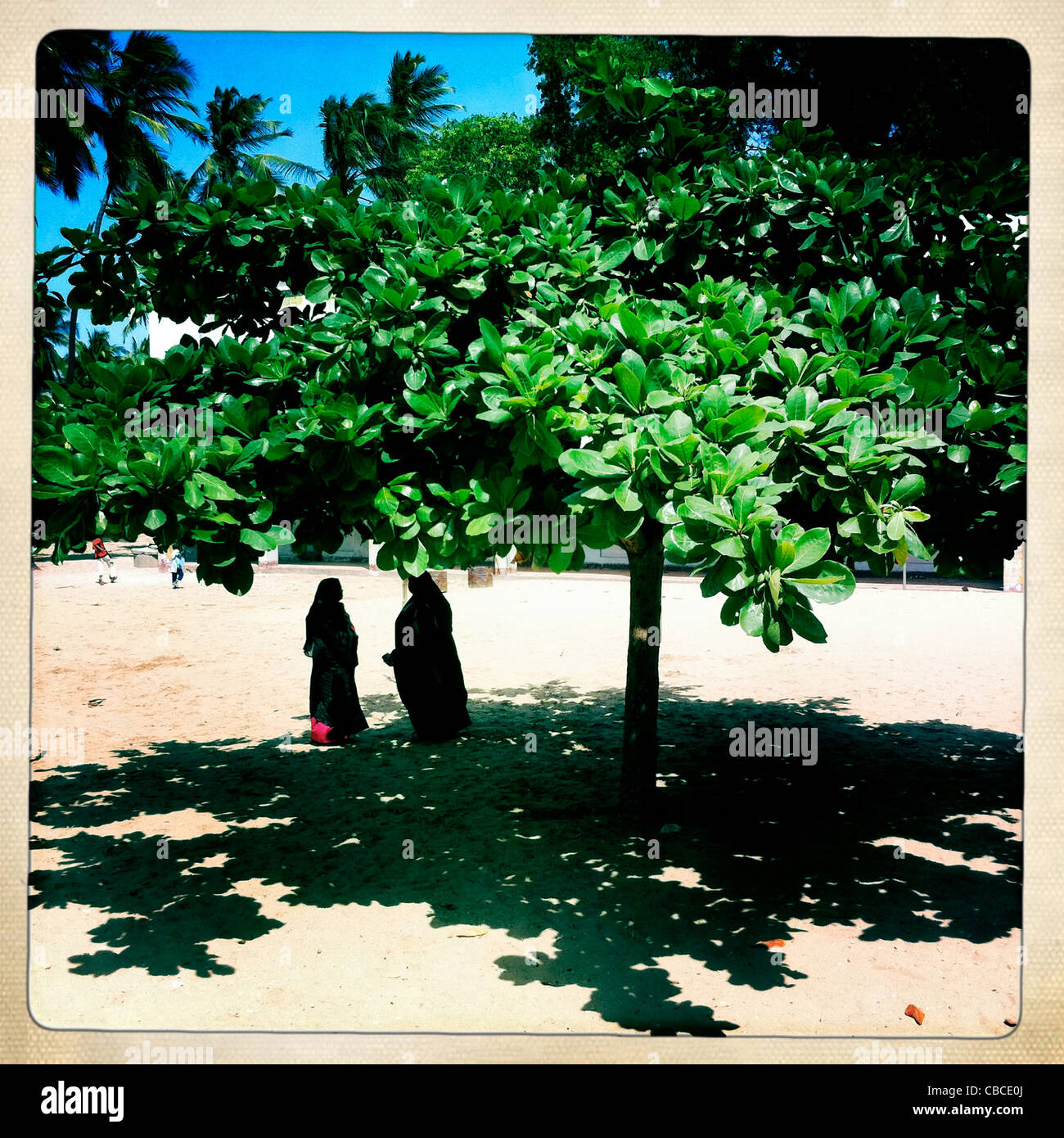 Due donne che chiacchierano sotto l'ombra di un albero in una piazza di Lamu, Kenya Foto Stock