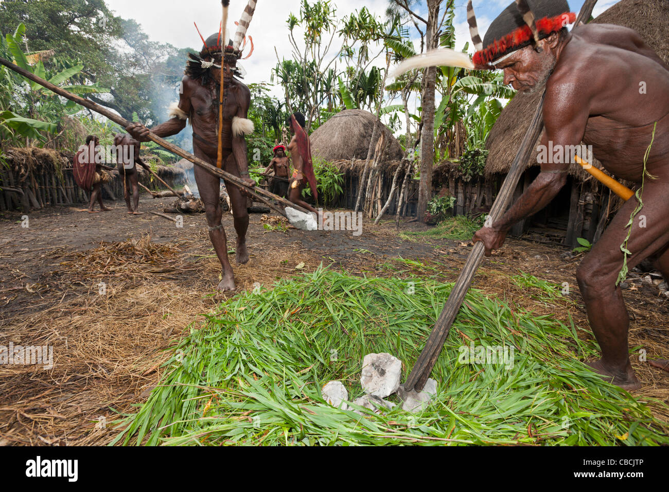 Dani uomini pietre di calore nel fuoco per forno di terra, Il Baliem Valley, Papua occidentale, in Indonesia Foto Stock