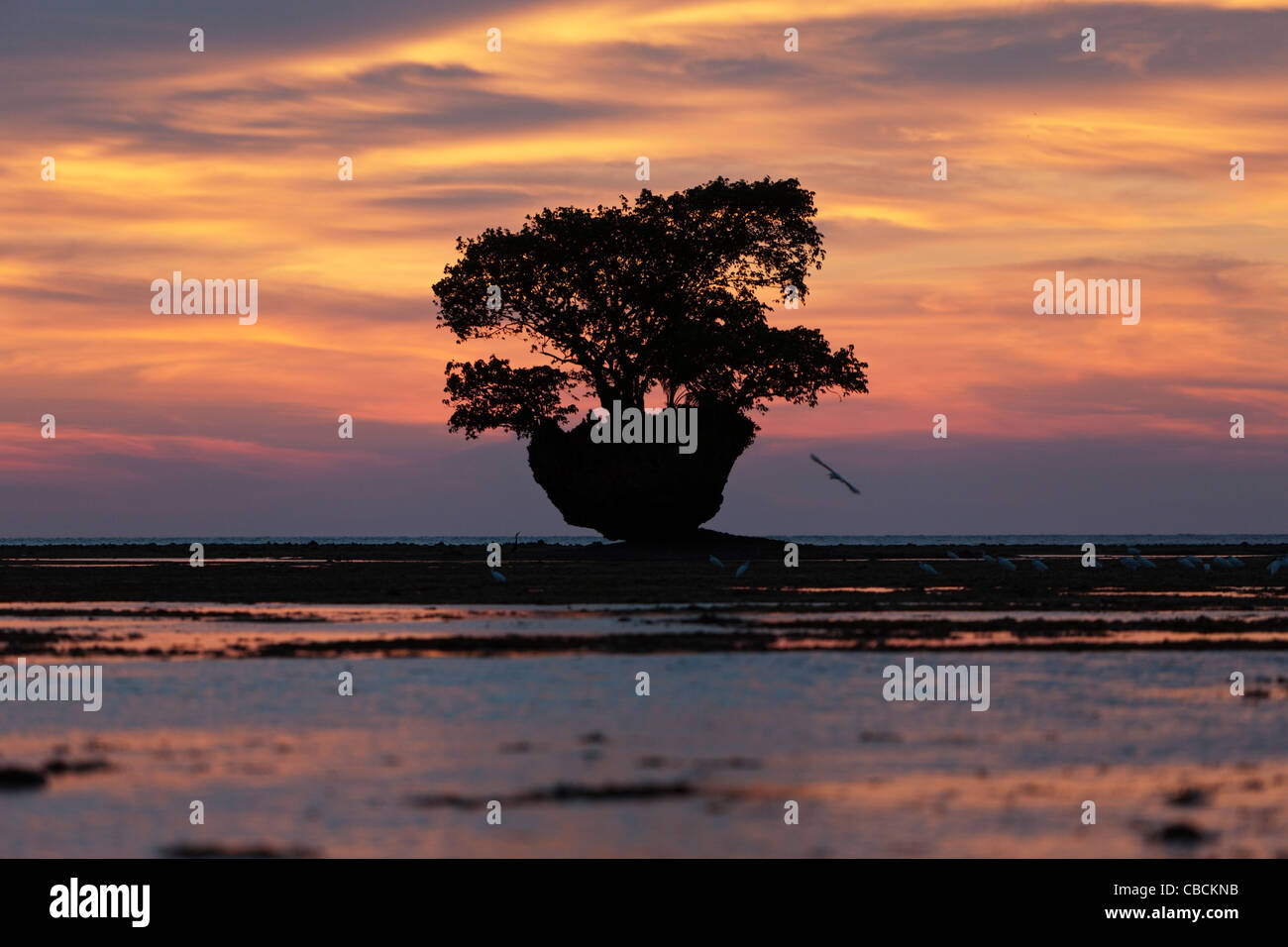 Tramonto a Cenderawasih Bay, Papua occidentale, in Indonesia Foto Stock